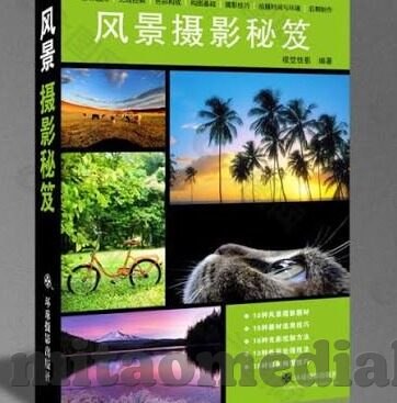 麻d国产传媒大象下载-麻d国产传媒大象下载，数字时代的文化传播新视角